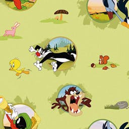 Looney Tune character wallpaper - 8938-1